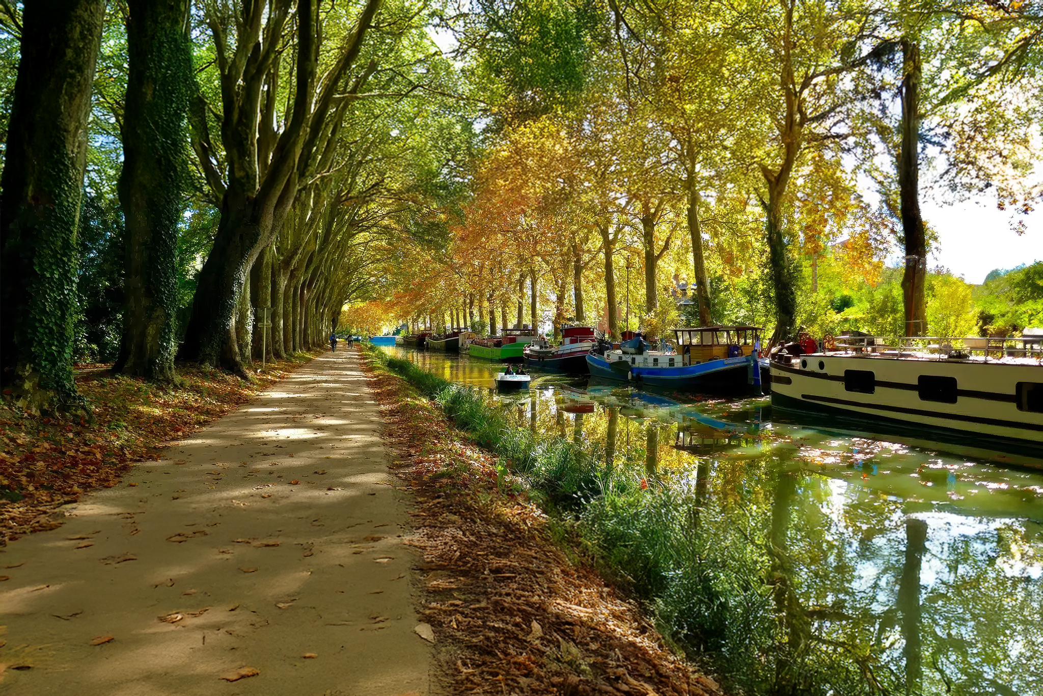 votre avocat sur toulouse